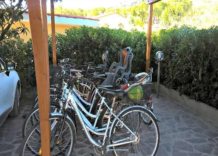 Granseola 坎普码港